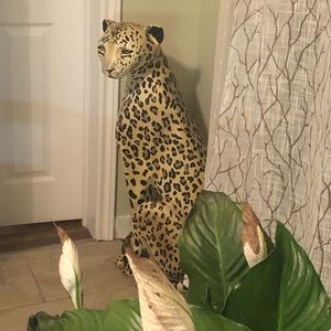 Meet your Posher, Katy